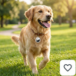 Localizador GPS para Mascotas