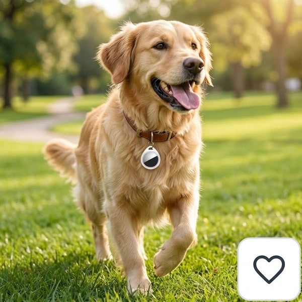 Localizador GPS para Mascotas