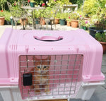 CAJA TRANSPORTADORA DE MASCOTA